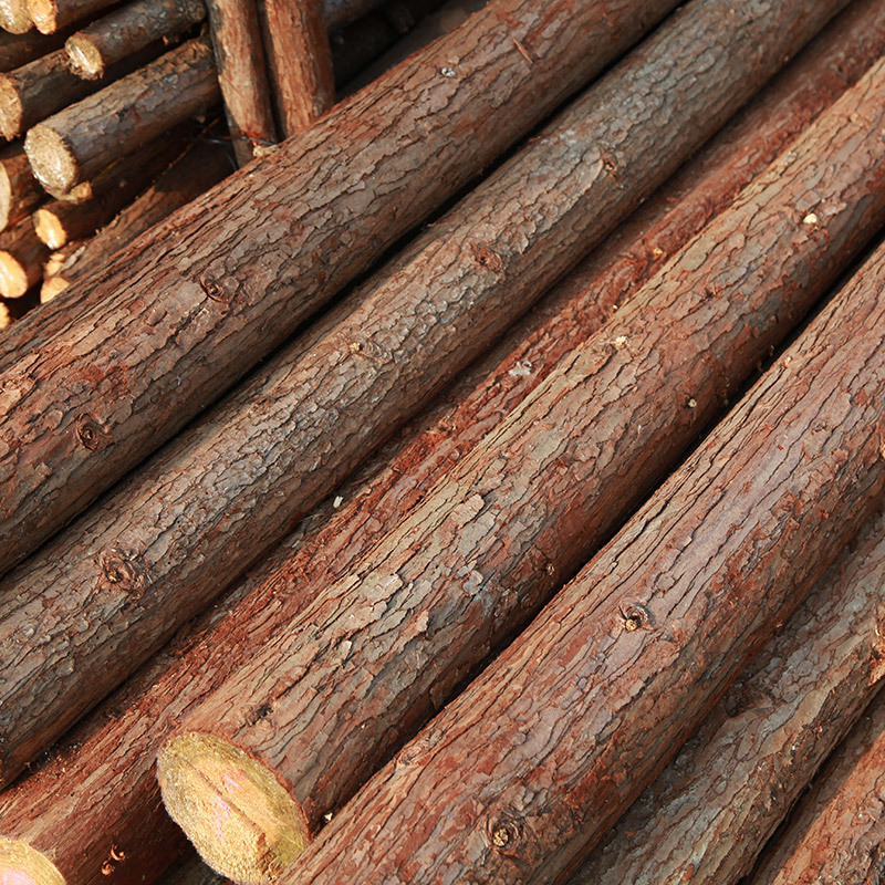 Log Wooden Piles, River Piling, Wooden Revetments, Slope Protection, Embankment Protection Piles, Flood Prevention and Flood Prevention Projects, Forest Farms, Direct Delivery to Construction Sites