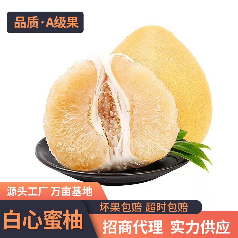 Белый помело из Фуцзянь, свежий сезонный фрукт, свежесобранный, кислый, сладкий, сочный и вкусный белоплодный помело, не красный помело