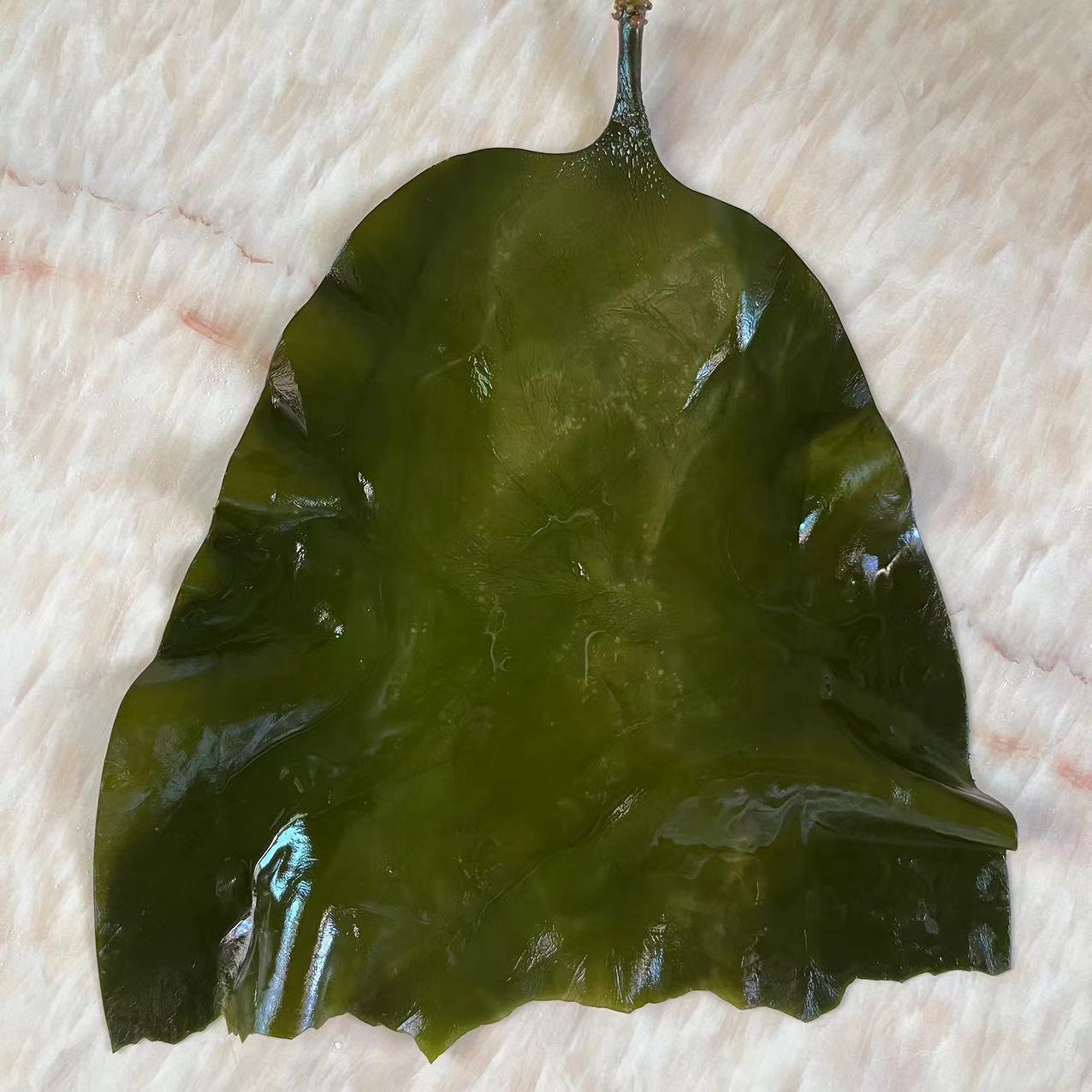 Fujian Xiapu Kelp, Salted Semi-Dried Kelp, Fresh and Additive-Free, Direct Supply from the Manufacturer, Large Quantity, Favorable Price, Seaweed