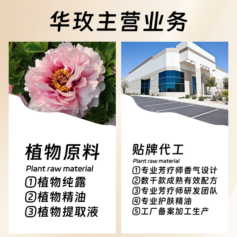 Spot Verbena Ketone Rosemary Oil Control Moisturizing Lotion Essence Toner Hydrating Moisturizing Hydrosol Wholesale 1000ml