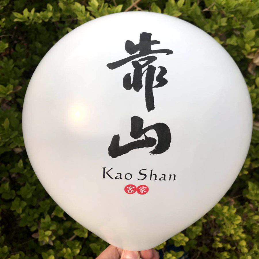 Advertising Balloons with Custom Printed Logo, Kindergarten Pattern, Street Stall Qr Code Printing, Opening Decoration, Custom Balloons