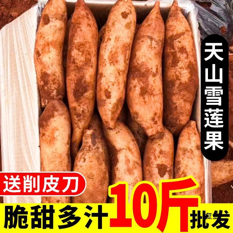 Юньнаньский красный сердечный корень снежного лотоса 0.5-5кг свежий фрукт сезонный оптовая полная коробка бесплатная доставка