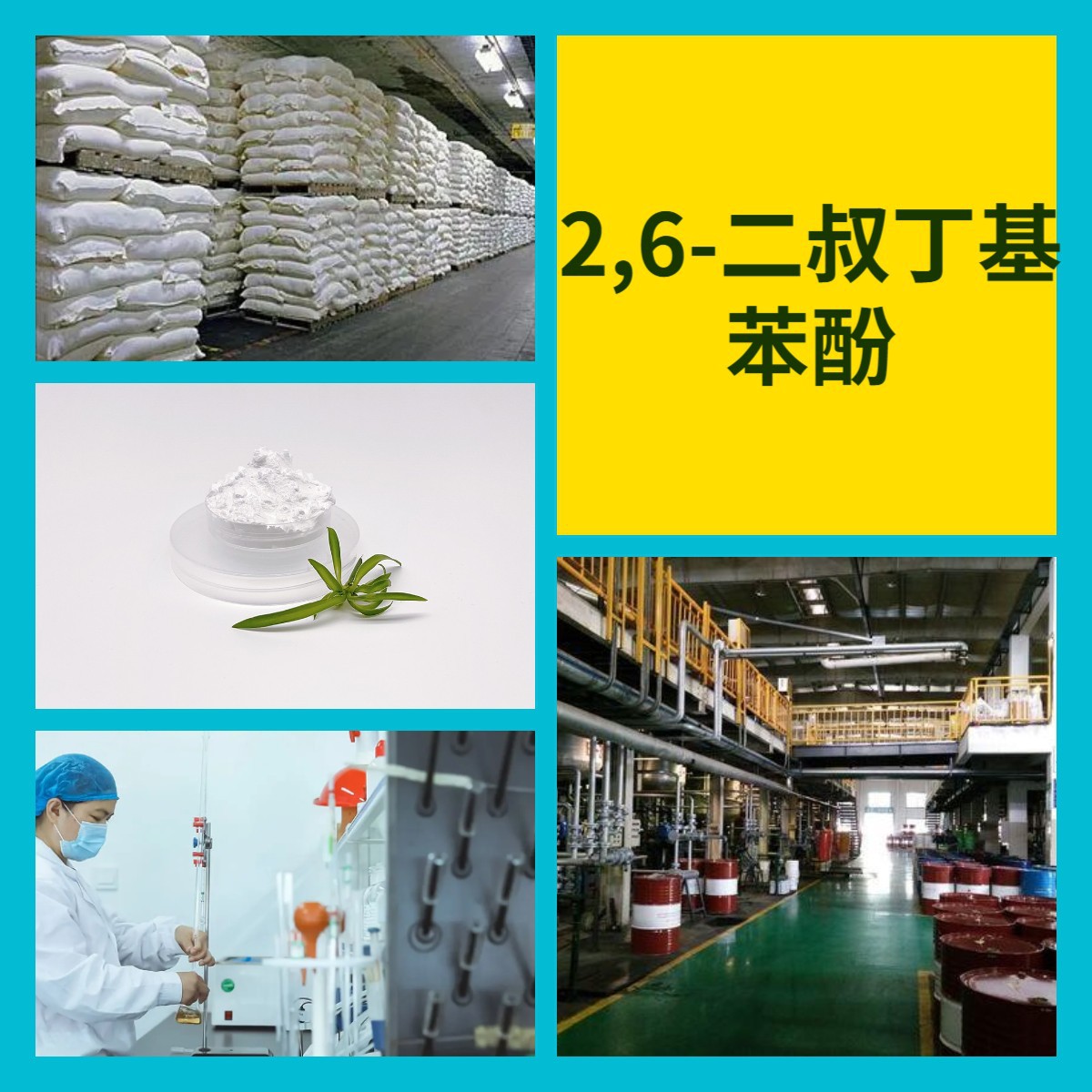 2,6-Ди-Терт-Бутилфенол Химическая энциклопедия 20 лет производственного опыта 99% Содержание Многоцелевой Шанхай Чжэцзян