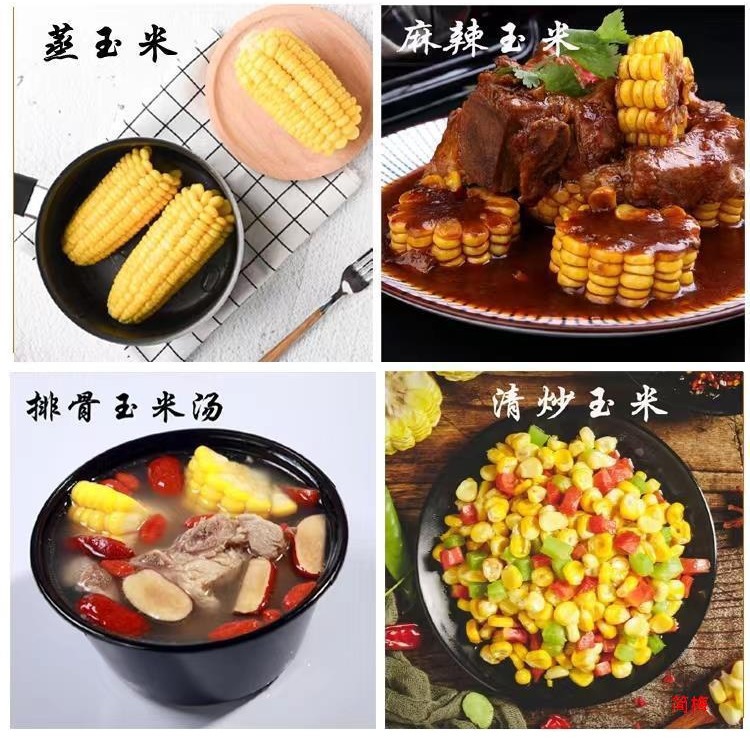 Now pick fresh fruit corn 10kg raw instant sweet corn cobs fried pulp sweet glutinous corn rice vegetables postage
