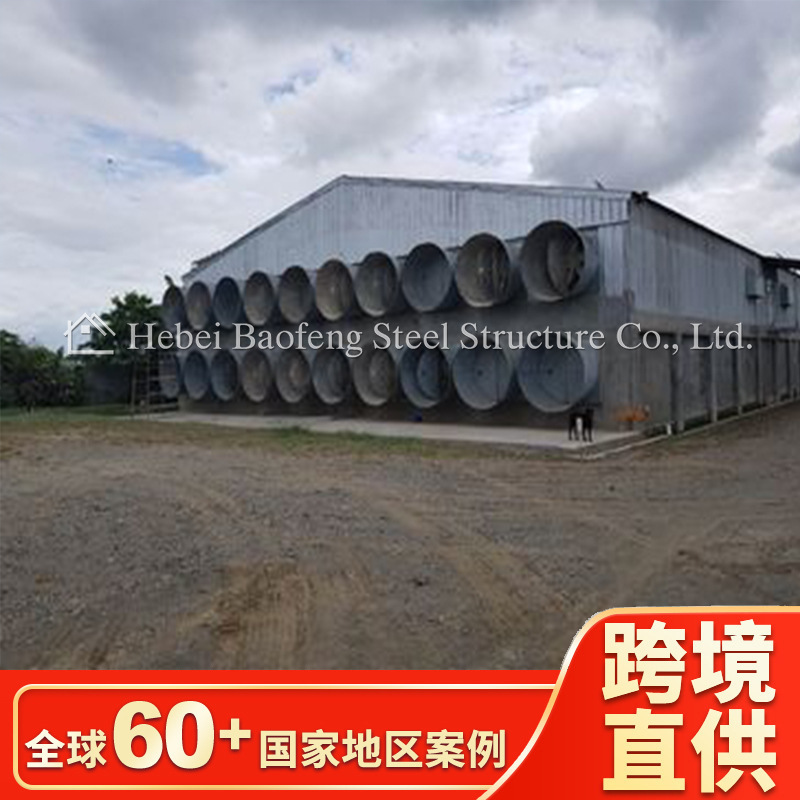 Прямые поставки стальных конструкций курятников и птичников, оптовые цены, специализированные курятники и птичники для куриных ферм, экспорт в Конго