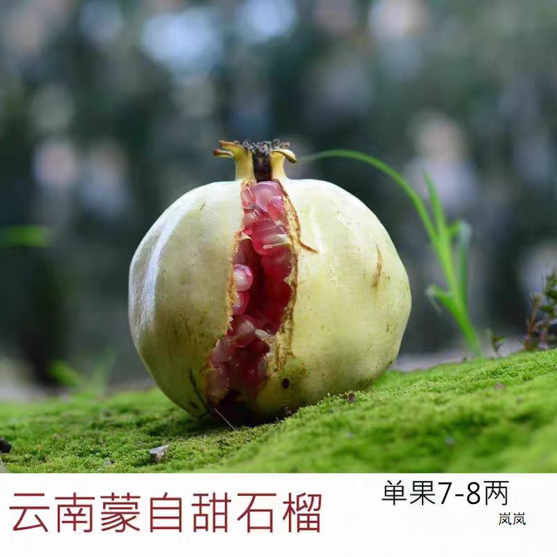 Yunnan Mengzi Sweet Pomegranate Freshly Picked, Thin-Skinned and Juicy, Old Tree, Guaranteed to Be Compensated for Bad Fruit, Net Weight 4.5kg Large Fruit