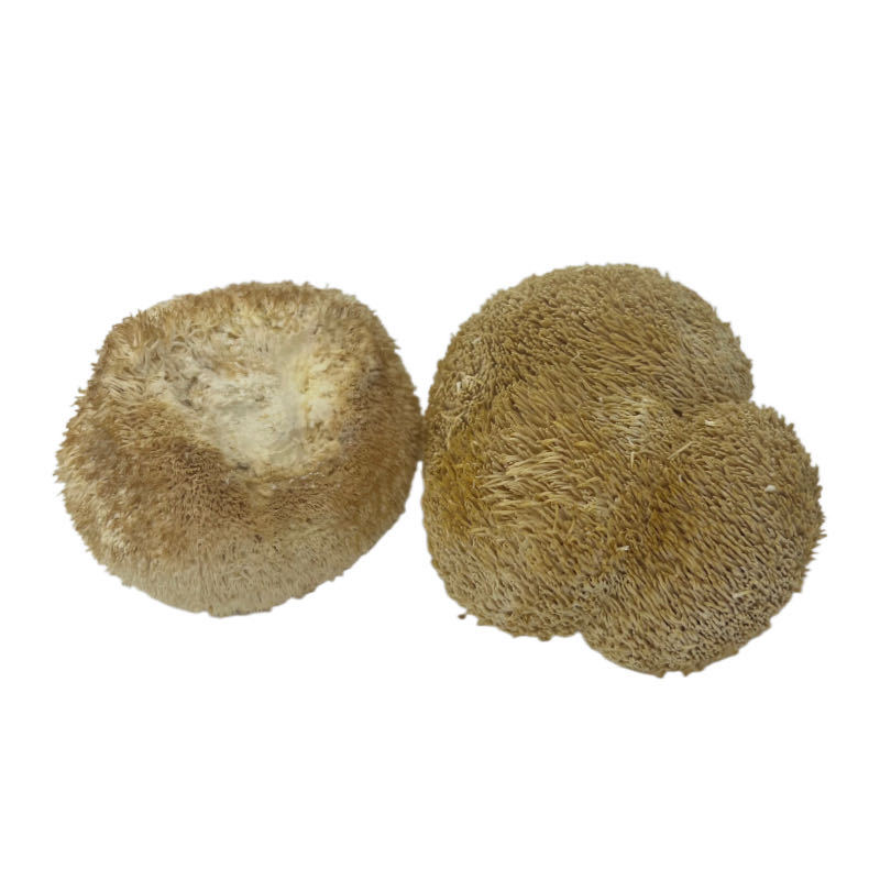 [Own factory] Gutian monkey head mushroom 500g fresh dry goods bulk monkey mushroom large wholesale edible fungus wholesale