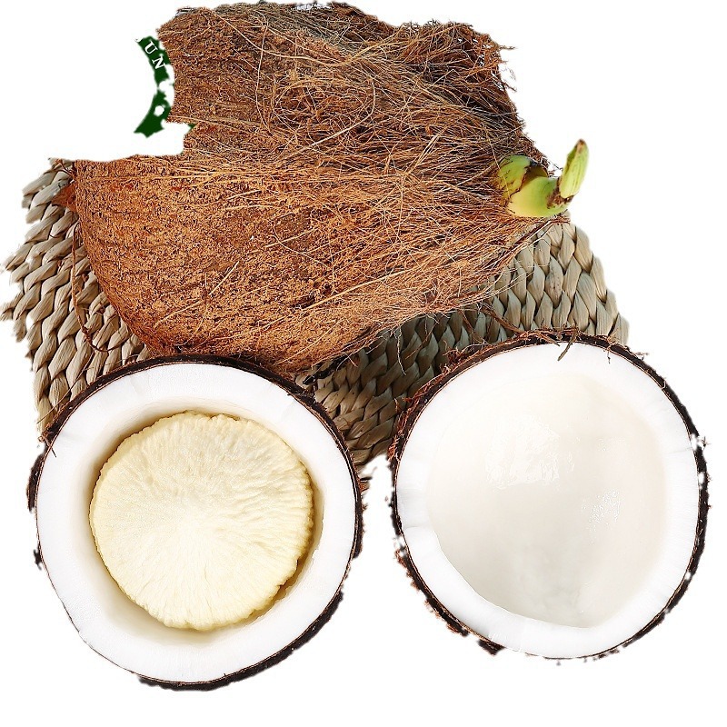 Hainan Milk Coconut Treasure 4-Pack Seasonal Fresh Fruit Old Coconut Coconut Green Coconut Whole Box 3 Free Shipping Dwarf Variety