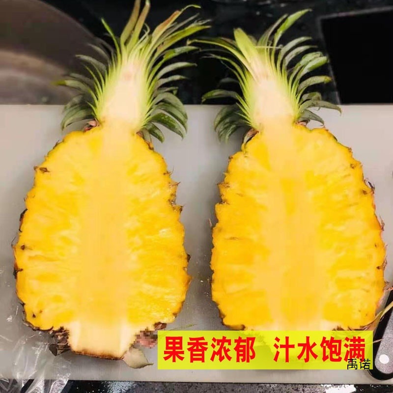 Hot Selling Guangdong Xuwen Pineapple Fruit 5kg Pack Seasonal Perfume Pineapple Fresh Pineapple Zhanjiang Crispy Small Pineapple