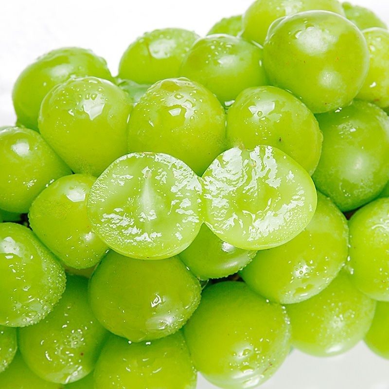 Shaanxi Sunshine Rose Grapes Are in Season, Freshly Picked and Shipped Immediately. Fresh Fruit, Qingwang Whole Bunches, Green Grape, Xiangyin Whole Box Wholesale