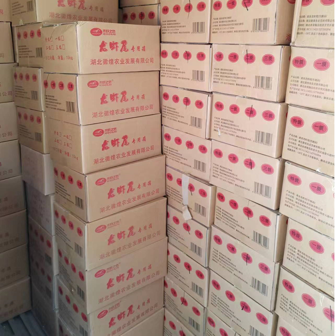 Large Size Ice-Free Lobster Tail Crayfish Extra Large Fresh Frozen Frozen Whole Box Commercial Commercial Whole Box