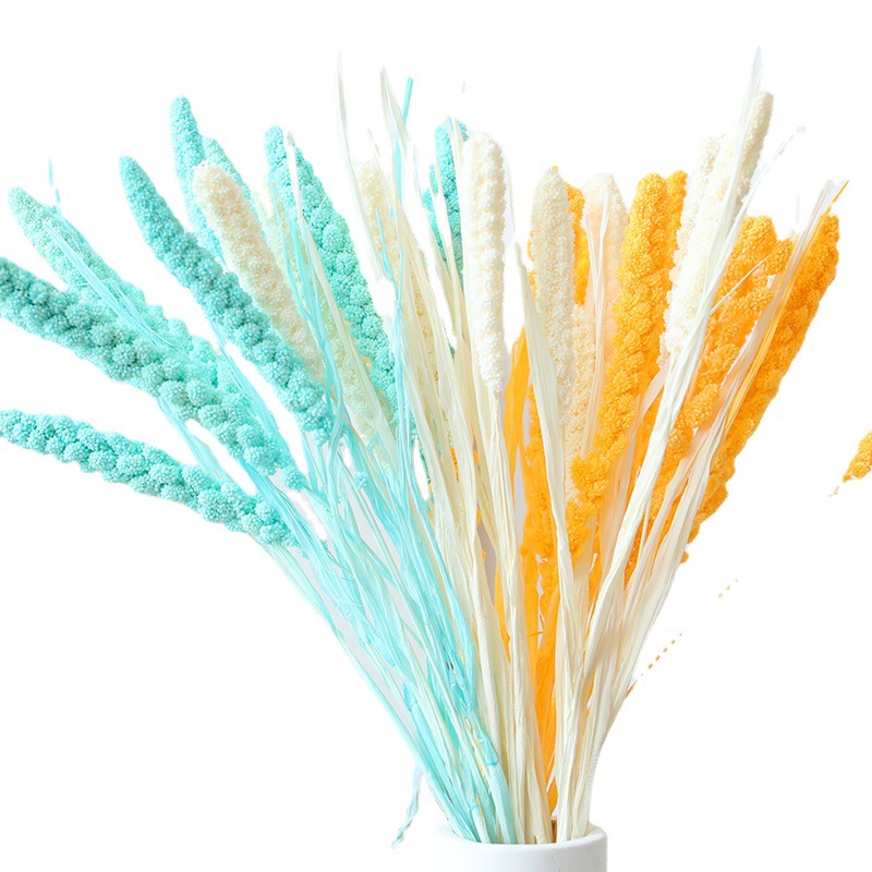 Wholesale Small Reed Everlasting Flowers, Bulrush Reeds, DIY Ornaments, Pampas Grass, Small Dusting Brushes, Dried Flowers, Air-Dried Plants