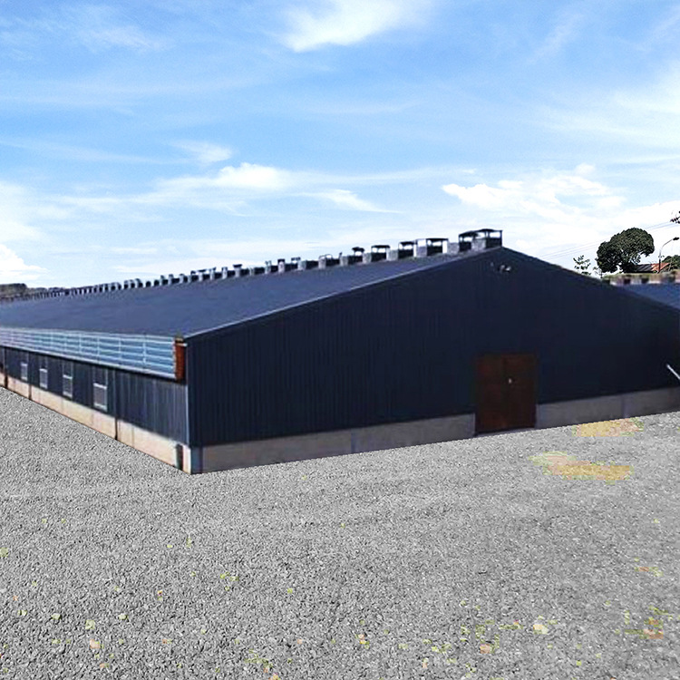 Steel Structure chicken coop export production prefabricated agricultural poultry steel structure House is cheap chicken coop