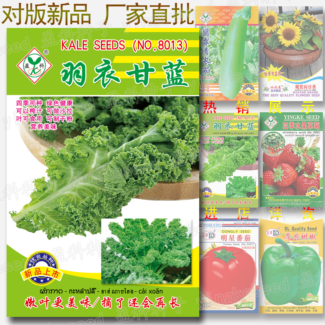 Около 100 семян капусты кале, четырех сезонов, здоровые, сочные, нежные и вкусные семена для салата