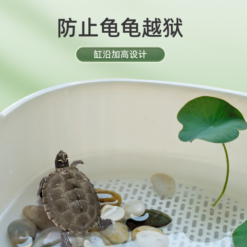 Manufacturer Wholesale Price Turtle Special Tank Household Breeding Climbing Platform Longevity Turtle Basking Platform Turtle Tank Ecological Living Room Desktop