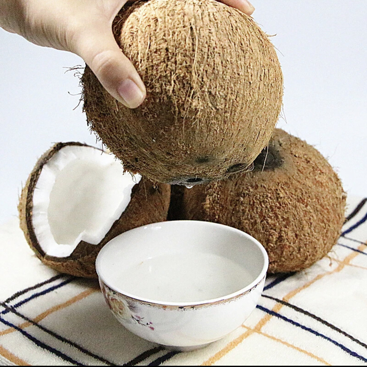 Hainan Old Coconut Seasonal Fresh Coconut Hair Coconut Pregnant Women Fruit Squeezed Coconut Juice Coconut Meat Soup Peel Coconut Coconut King