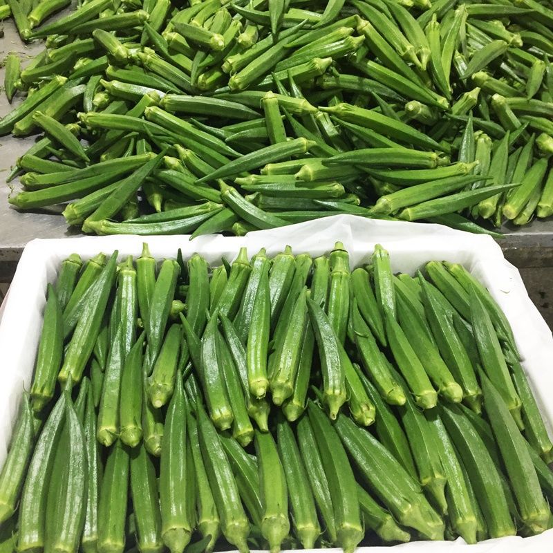 2.5кг, бесплатная доставка, свежие и нежные овощи, фермерские плоды