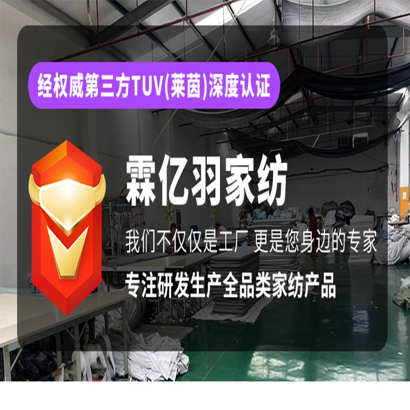 Mattress Pillow Core Full Set Quilt Core Summer Quilt Spring and Autumn Quilt suit Three Pieces Student Single Dormitory Quilt