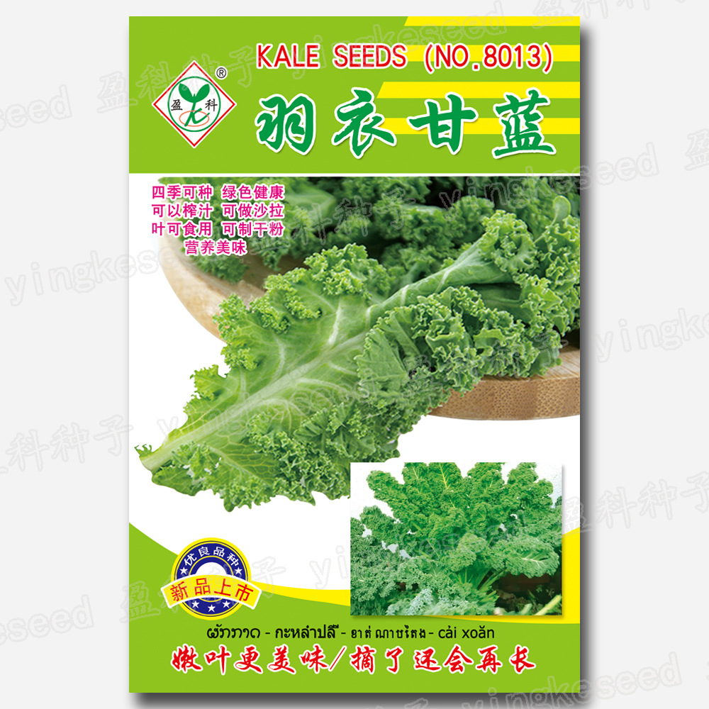 About 100 Kale Seeds. Four-Season Green, Healthy, Juicable, Tender and Delicious Salad Vegetable Seeds for Leaves