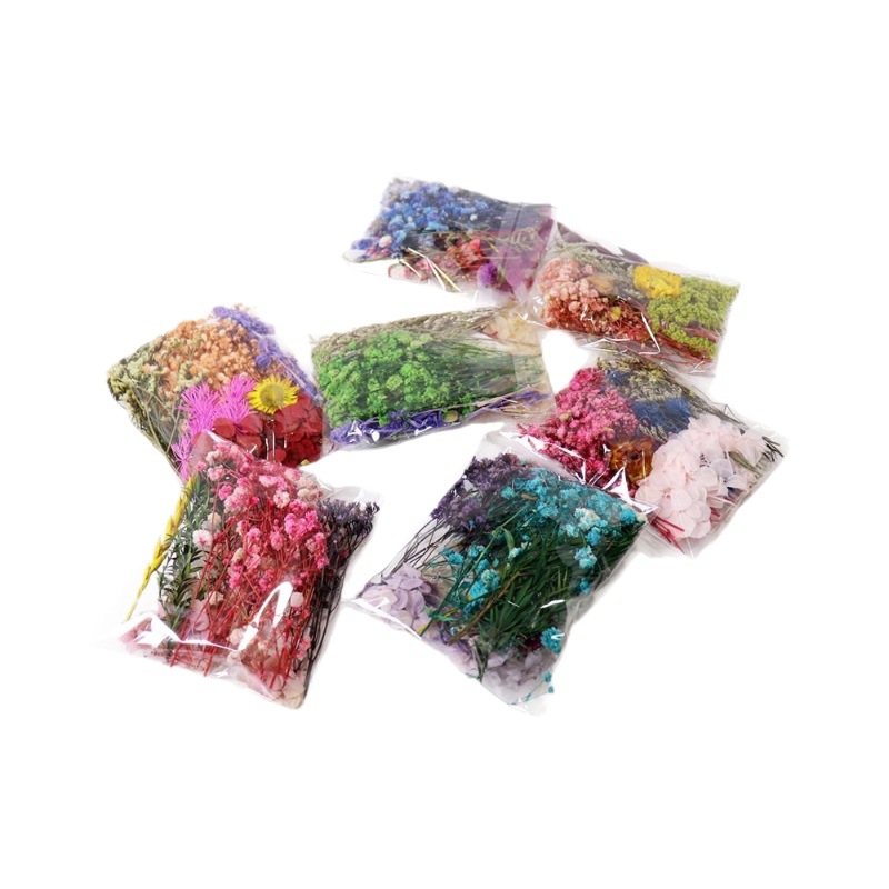 Customize All Kinds of Mixed Immortalized Dried Flowers DIY Material Package Real Flowers Dried Flowers Candle Fan Photo Frame Dried Flower Material Box