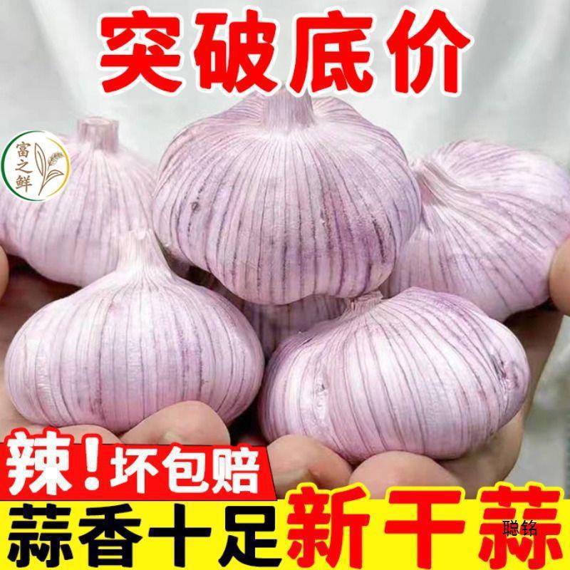 Jinxiang Garlic Fresh Dried Garlic Bulbs 2.5kg Pack Garlic Seeds 2025 Seasonal Vegetables Wholesale Purple Skin Large 5kg