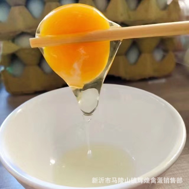 Wholesale Fresh First-Laid Eggs, Green-Shelled Eggs, First-Laid Eggs, Open-Laid Eggs, Green-Shelled Black Eggs, Open-Laid Eggs, Small Size