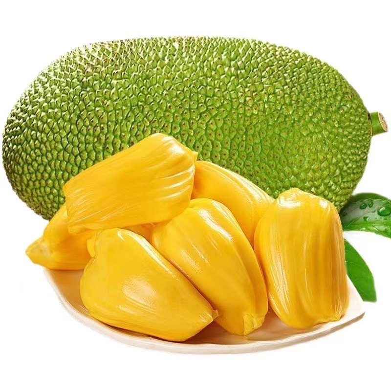 Freshly Picked Hainan Sanya Yellow-Fleshed Jackfruit, Fresh and Seasonal, Whole Sweet Old Tree Jackfruit, Free Shipping Wholesale