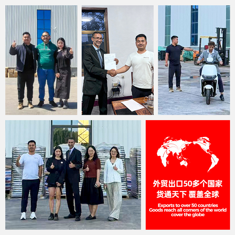 Golden Eagle New Electric Vehicle Manufacturer Wholesale Two-Wheeled Battery Vehicles Electric Bicycles Factory Asian Dragon