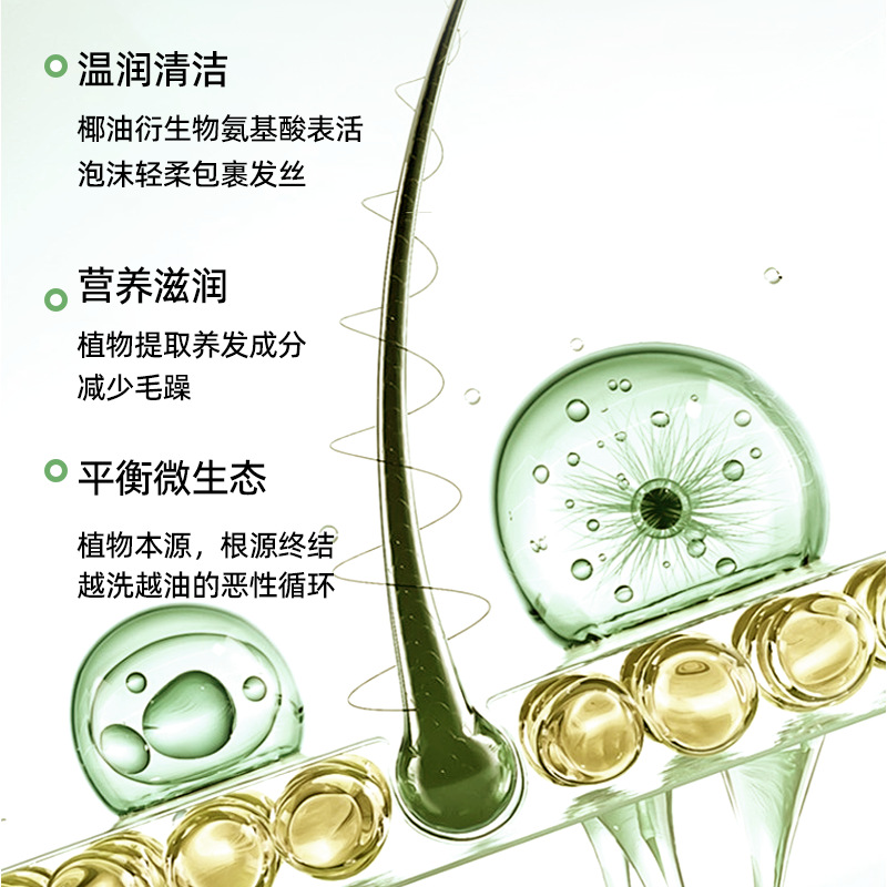 Aromatherapy Essential Oil Shampoo and Conditioner, Silicone-Free Plant-Based Care and Nourishing Care Set, Hospital Line Private Label