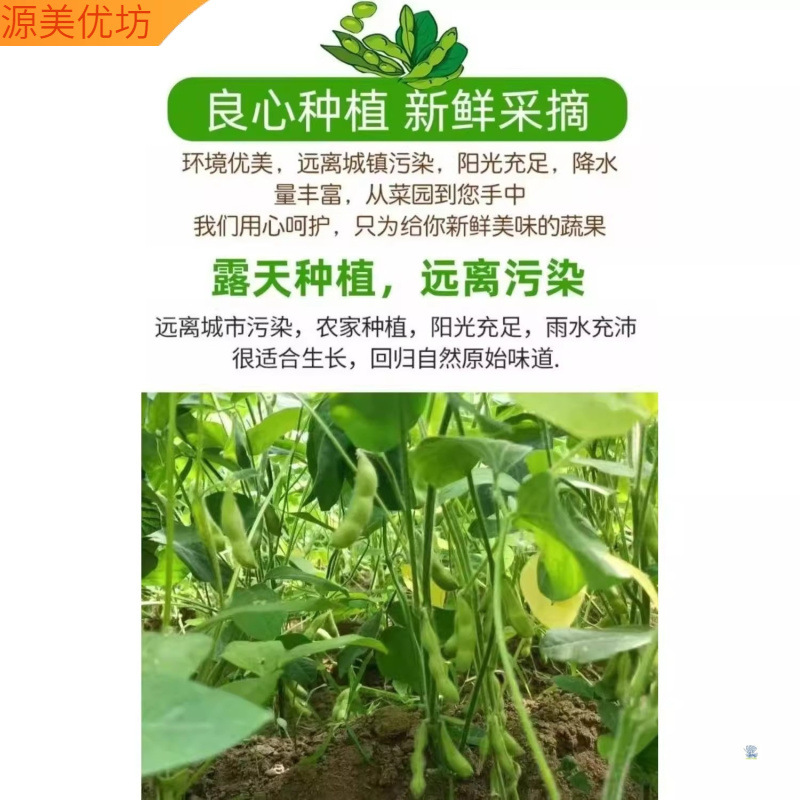 Fresh Shelled Edamame from Yunnan, Freshly Picked Green Beans, Tender Green Bean Pods, Farm-Grown, Whole Box with Free Shipping