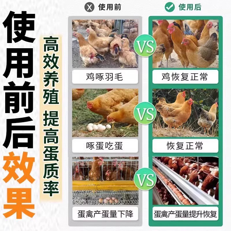 New Model to Stop Pecking for Chickens, Ducks, and Geese to Prevent Pecking and Biting, Preventing Chickens from Pecking Each Other and Pecking Eggs, Rutin Chicken Pecking