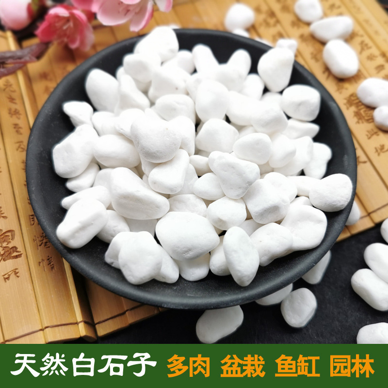 Natural White Pebbles, White Stones, White Marble Garden Gardening Potted Stones, Succulent Paving Courtyard Landscaping