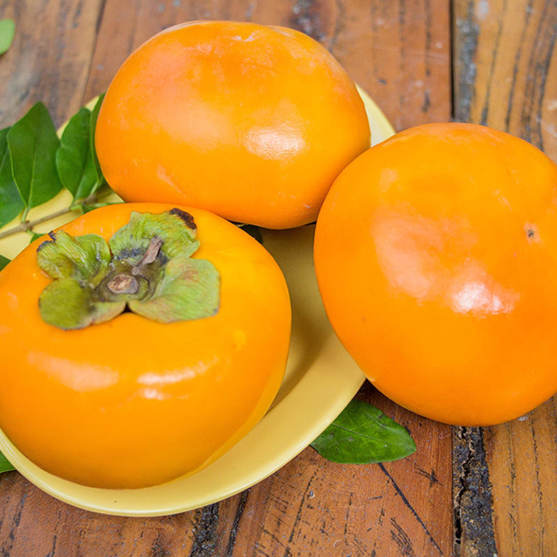 Shaanxi Yangfeng Crispy Persimmon Freshly Picked Fresh Seasonal Fruit Sweet Persimmon Crisp Sweet Delicious Crispy Persimmon Dropshipping