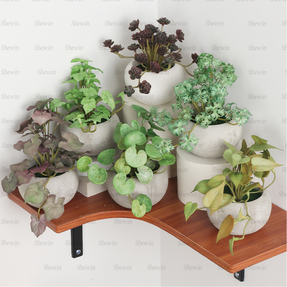 in stock ball pulp simulation potted retro home desktop simulation green plant TEMU Amazon SHEIN supply