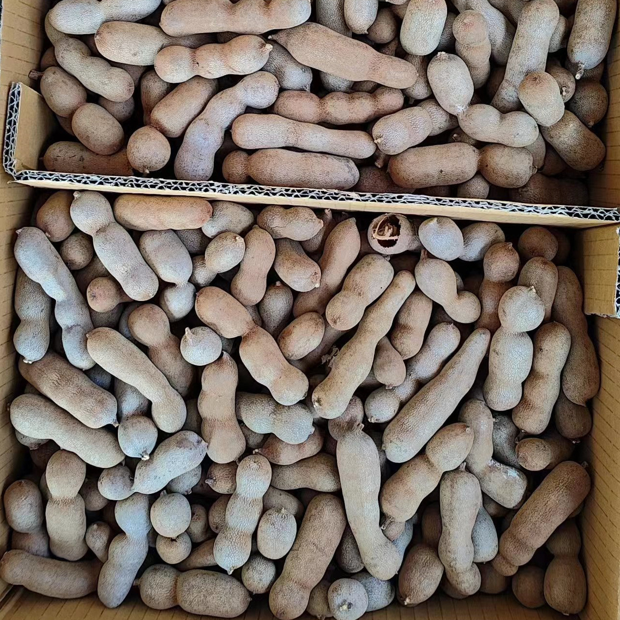 Full Box of 10kg Lihui Small Right Angles, Sweet and Sour Beans, Tamarind Fruit, E-Commerce Direct Supply, Drop Shipping