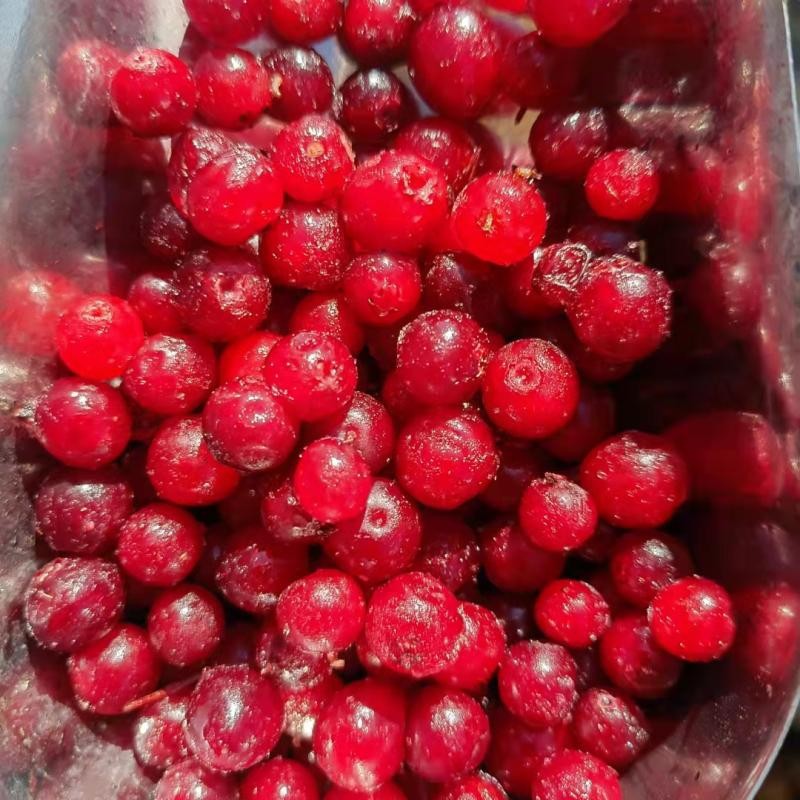Cranberry Red Bean Accord Quick Frozen Fresh Fruit Fresh Fruit Jam Enzyme Low Calorie Meal Replacement Sf Cold Chain Free Shipping