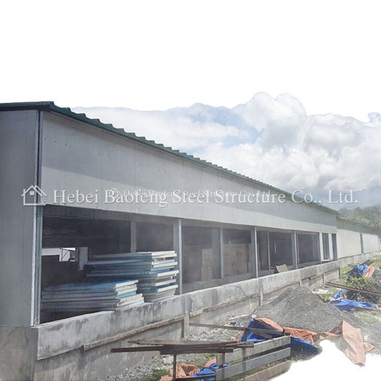 Hot galvanized steel structure chicken house export production Prefabricated steel structure chicken shed steel structure construction chicken farm