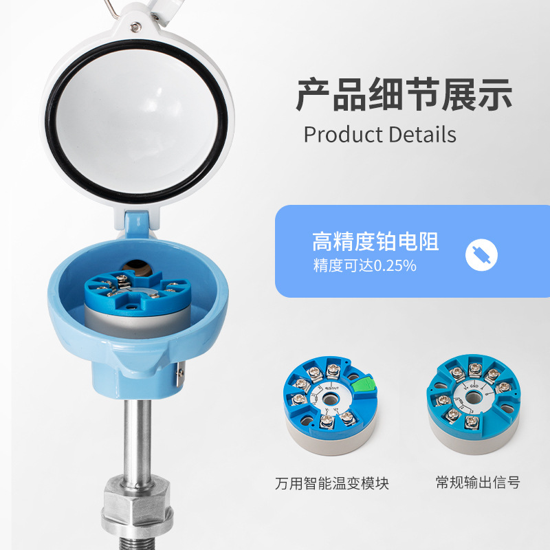 Lifu LFW20 High Temperature Thermal Resistance pt100 Temperature Sensor Waterproof Platinum Resistance Armored Temperature Transmitter