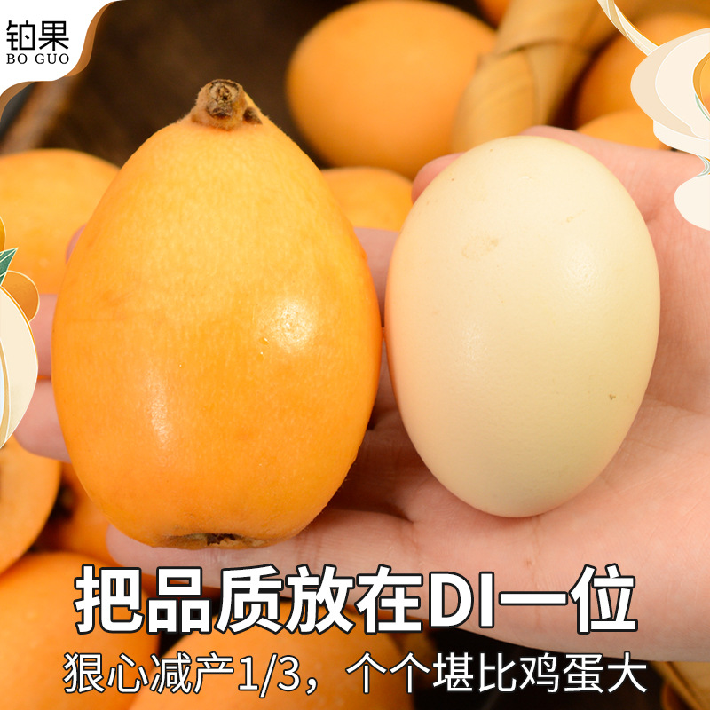Sf Express Gift Box 2.5kg Zhangzhou Yunxiao Loquat Fresh Fruit Seasonal Fresh Whole Box Sweet Freshly Picked