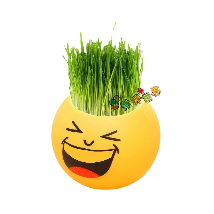 Cool expression DIY grass head doll micro landscape interesting plant students creative science and education observation mini potted plant