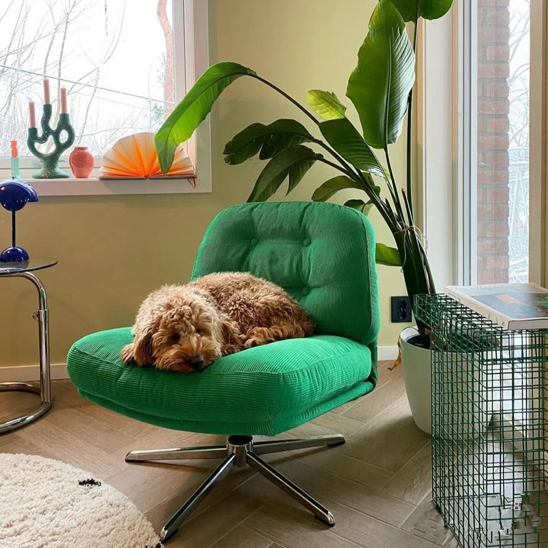 Factory Direct Delivery Internet Celebrity Rotatable Lift Dewey Ringel Sofa Chair Living Room Balcony Leisure Chair Second-Hand Single Chair