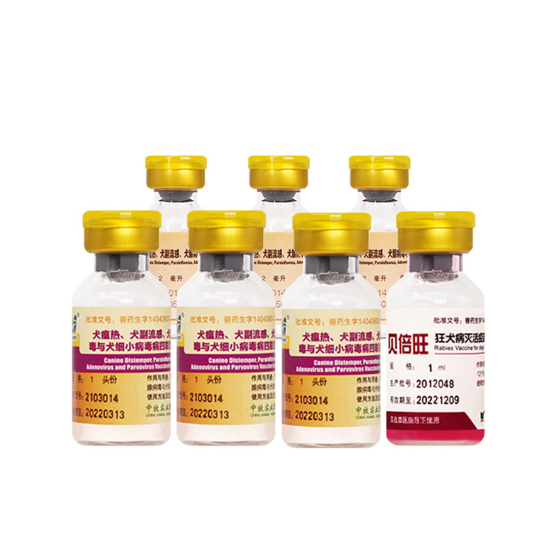 Chinese animal husbandry dog quadruple vaccine into puppies to prevent small canine distemper rabies pet enhanced seedling set needle