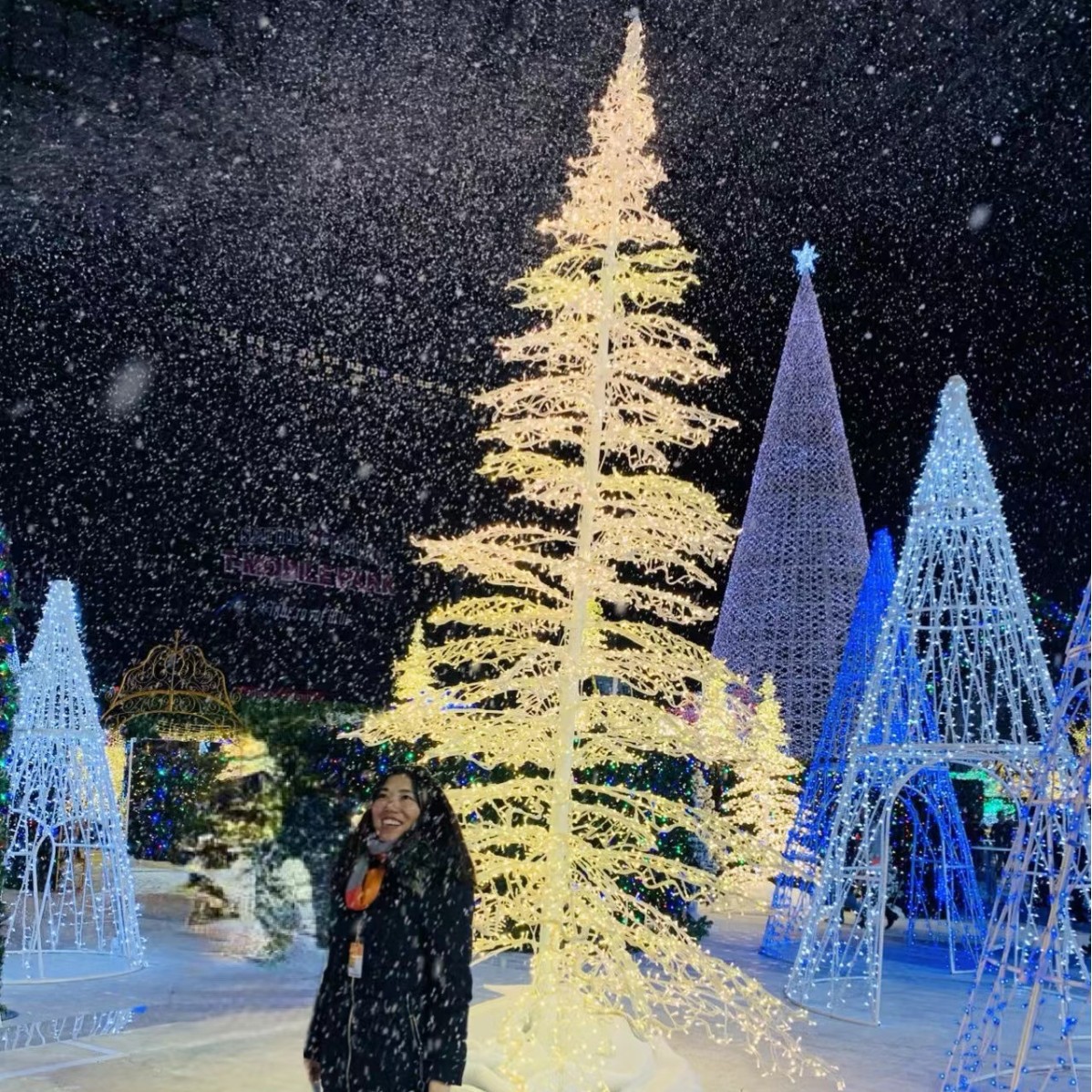 Настраиваемая симуляция рождественской елки - уличные декоративные светильники для создания атмосферы от фабрики Light Source