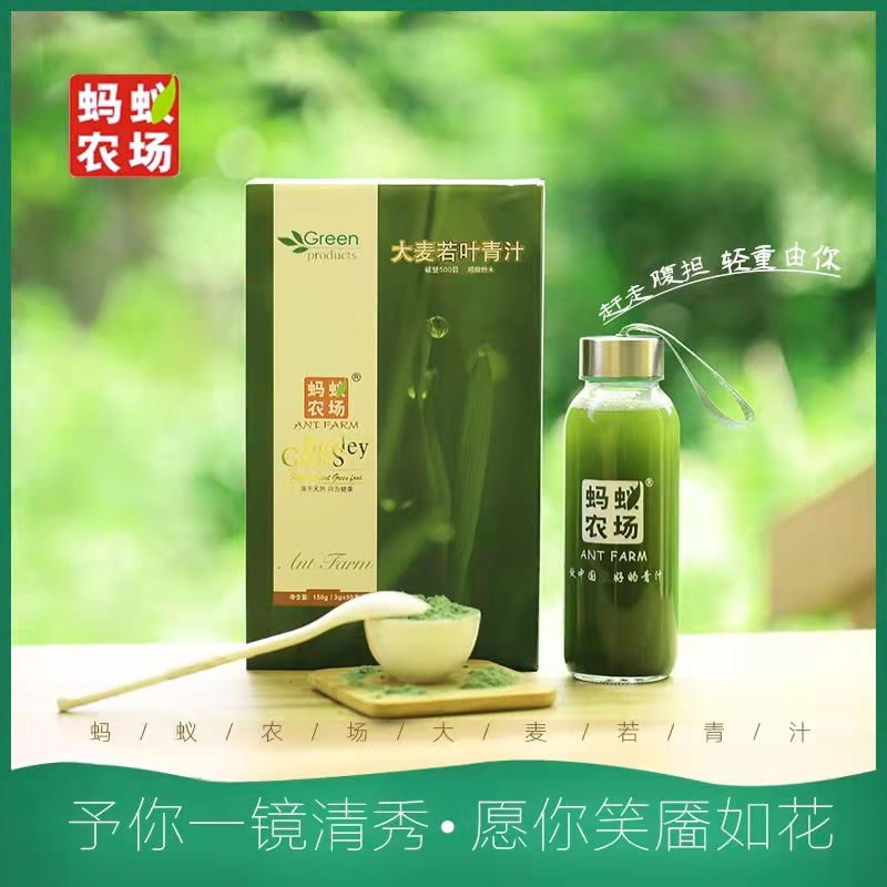 Ant Farm barley ruoye green juice 3G * 50 powder official genuine goods instant grain meal replacement powder wheat seedling powder