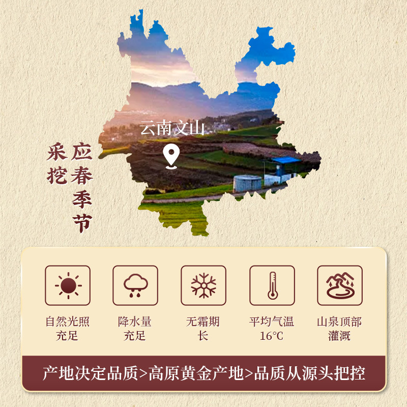 Sinopharm Medicinal Materials Panax Notoginseng Powder 55g Dropshipping Spot Wholesale Panax Notoginseng Grinding Powder Nourishing Health Processing