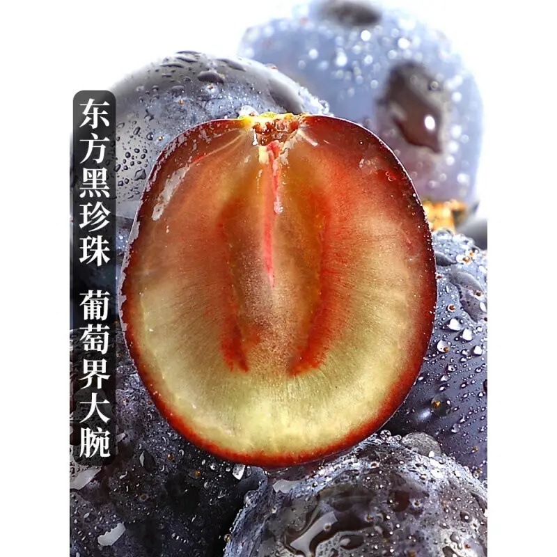 Yuncheng Seedless Summer Black Grapes, Fresh Seasonal Fruits, Rose-Scented Grapes, Whole Box of Grapes for Pregnant Women, Kyoho, Free Shipping