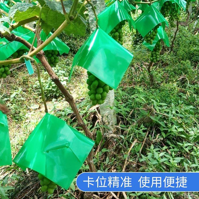 Grape Umbrella Cover Sunshade Special Bag Sun Protection Rose Umbrella Hat Sunburn Prevention Rain Protection Crack Prevention Fruit Umbrella Bag