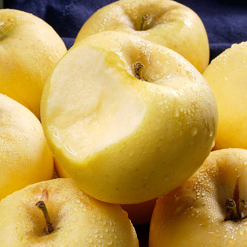 [All Year Round] Shandong Cream Fuji 2.5kg Fresh, Crisp, Sweet, Milky Yellow Apples, Seasonal Fruit, Not Golden Delicious