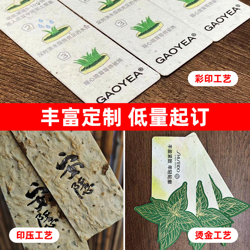 Seed Special Paper Card Germination Creative Event Ticket Tag Wedding Eco-Friendly Postcard Customizable Biodegradable