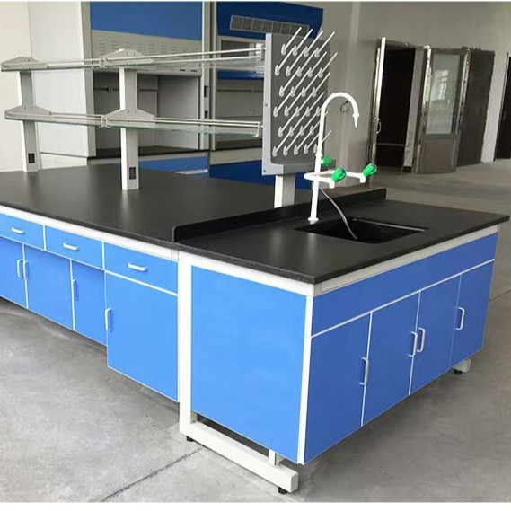 School Laboratory Experiment Table Student pp Sink Table Stainless Steel Physical and Chemical Table Steel Wood Experiment Table Steel Wood Experiment Table